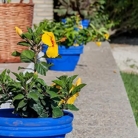 Apartamento La Limonera Barbate